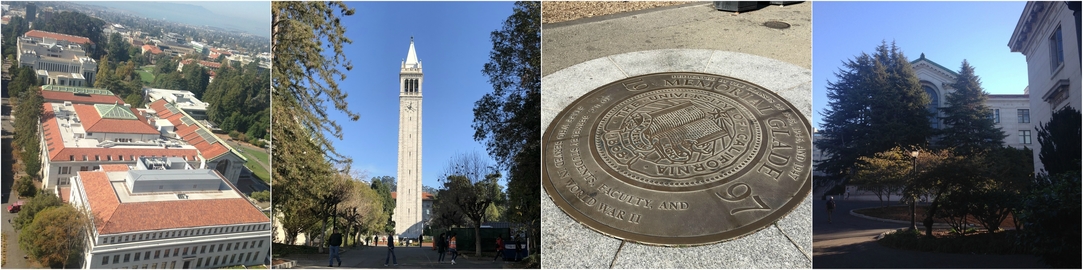 Результаты стажировки в Калифорнийском университете Беркли